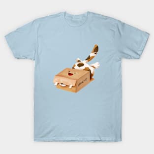 Cat loves box T-Shirt